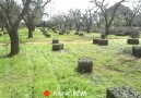 Agrisud Tracteurs le 30 janvier