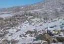Ağzına Yüreğine Sağlık İyi Seyirler & Dinlemeler Dilerim..