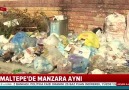 ahaber - Maltepe&manzara aynı