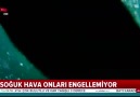 ahaber - Soğuk hava onları engellemiyor