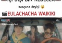 Ahaha Ah Rebecca ah AynurDizi Adı Eulachacha Waikiki