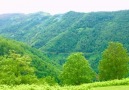 Ah dağlar ah sevdamsın. - Asi Karadeniz Kızı