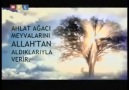 AHLAT AĞACI [EFENDİ HZ] _ (Paylaşan - Mirzal21 / Burhan Güney)