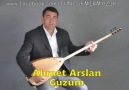 Ahmet Arslan - Guzum [TUNÇDEMİR MÜZİK]