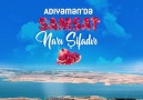 Ahmet Aydın - Adıyamanda Narı Şifadır.