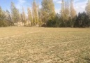 Ahmet Korkmaz - Islandı Seccadem Göz Yaşlarımla.