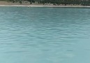 Ahmet Yavuz - 2019- Burdur -Salda Gölü