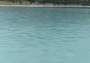 Ahmet Yavuz - 2019- Burdur -Salda Gölü