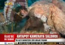 Ahtapot, bir anda kameraya saldırıyor!