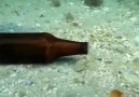 Ahtapotun Şişeden Evi