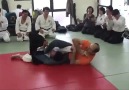Aikido'yu tek hamleyle bitiren Türk güreşçi