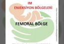 Aile Sağlığı Ebeleri - Femoral bölgeye IM enjeksiyon Facebook