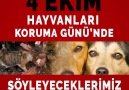 Ajanimo - 4 Ekim Hayvanları Koruma Günü&Söyleyeceklerimiz Var! Facebook