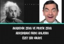 Akademik Zeka vs Pratik Zeka