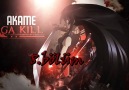 Akame ga Kill 8.bölüm