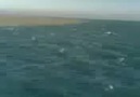 Akdeniz ve Atlas Okyanusu'nunu birbirine karışmaması