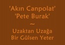 Akın Canpolat - Uzaktan Uzağa Bir Gülsen Yeter