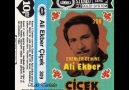 Ak Meleğim Göç Eylemiş- Ali Ekber Çiçek <Eski Türküler>