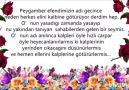 A&K&- OLMASAYDIN....OLMAZDIK (571632)