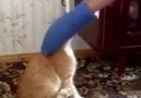 Aksiyon filmi gibi yeminle