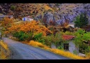 ALAEDDİN YAVAŞÇA İCRALARI İLE DOSTLAR MECLİSİ