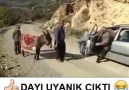 Alanyalı yörüğün eşek satışı