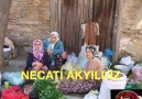 ALATTIN BEN GÖNÜL YALAN