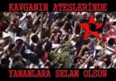 Aleviyim - MAZLUMLARA YAPILAN ZÜLÜME SEYİRCİ KALAN NE...