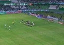 Alex de Souza'dan harika frikik golü  Coritiba-Vitoria maçı