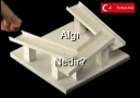 Algı