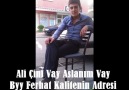 Ali Çini -Byy Ferhat- Vay Aslanım Vay