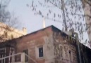Aliço Lazı arar
