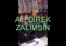 ALİ DİREK ZALİMSİN YAPIM HÜSEYİN AKKAYNAK