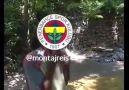 Ali Koçtan sonra taraftarı