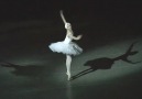Alina Somova - The Dying Swan