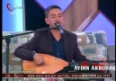 ALİ ŞAHİN-Gönül Arz Eyliyo Dostu Görmeyi