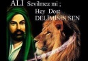 ALİ SEVİLMEZ Mİ HEY DOST, DELİMİSİN SEN ..!