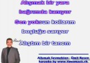 ALISMAK SEVMEKTEN UMIT BESEN