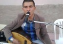 ALİŞ@N Y@Ş@R --RÜZĞAR