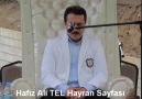 Ali Tel - Muhteşem Kur'an Tilaveti 2012 Kızılcahamam