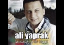 ALİ YAPRAK - MANGALI YAKALIM MI ( 2013 )