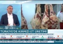 Aliyye Yılmaz - Türkiye Kırmızı Et Üreticileri Merkez...