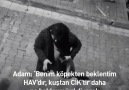 Alkollü adamın sokak köpeğiyle sohbeti sosyal medyayı salladı!