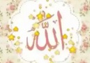 ALLAH ALLAH diye diye
