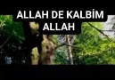 ALLAH AZZE VE CELLE ALLAH DE KALBİM ALLAH