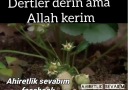 Allah bizim sabrımıza sabir versin
