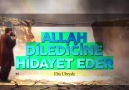 ALLAH DİLEDİĞİNE HİDAYET EDER