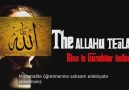 Allah diss to Gunahkar Kullar (SİLMEYİN ARTIK YETER AMINIZA KO...