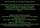 Allah Diyen Sivrisinek (ŞOK!)