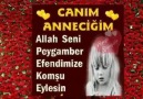 ALLAH&EKBER DİYENLER - ANNEM CANIM BENİM &lt3 Facebook